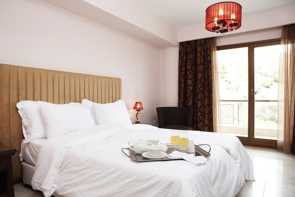 Hotel Veltsi Florina Rum bild